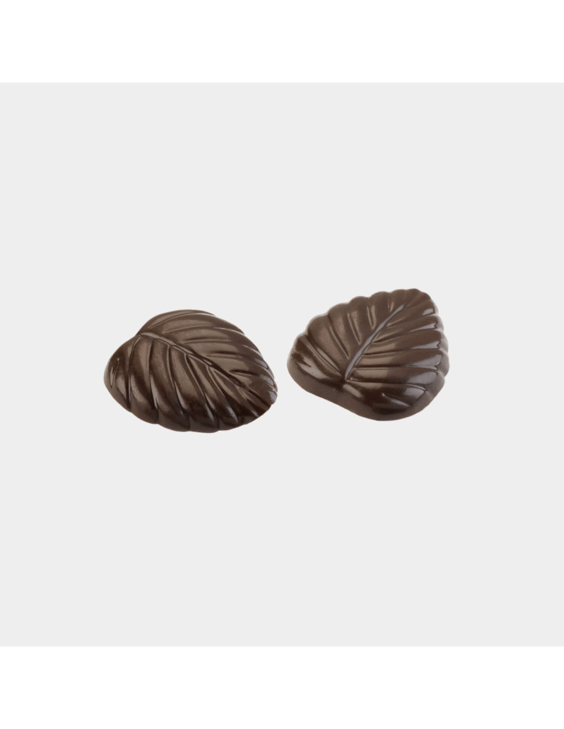 Cajita de Chocolate Amatller 60 g