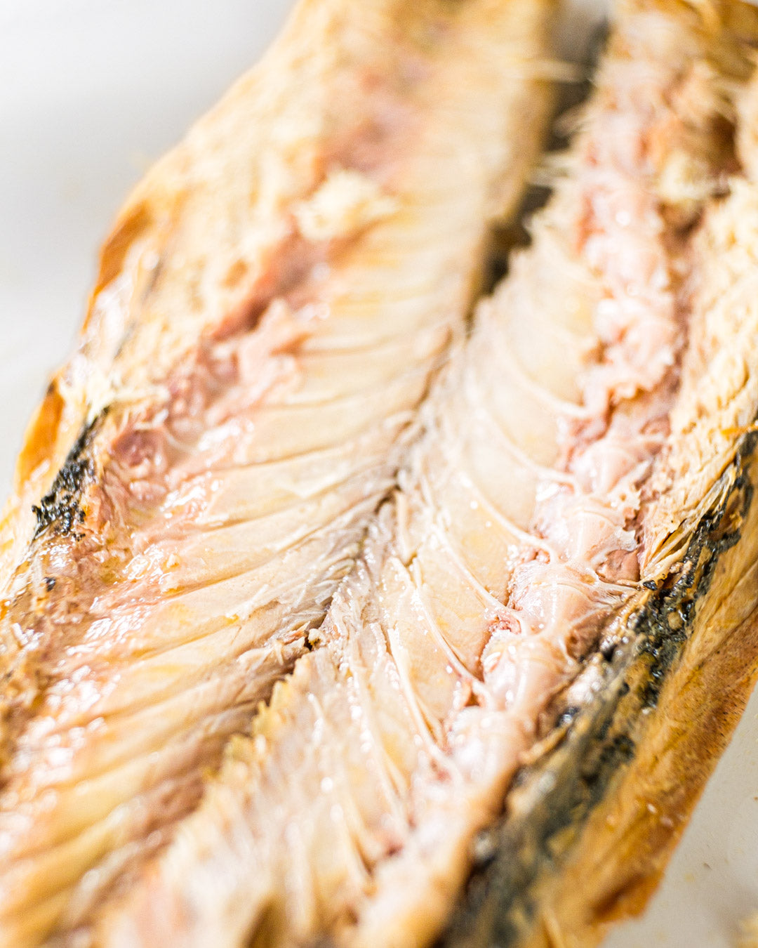 Verdel frito en Escabeche de Ortiz